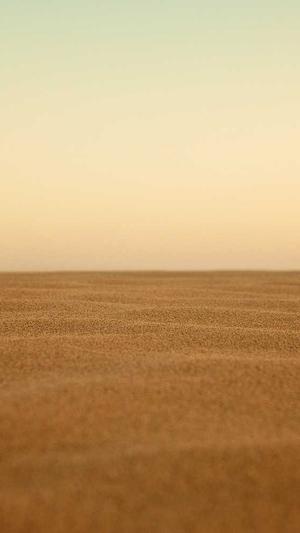 每日新开传奇网截图1