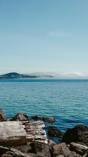 传奇外传sf发布网截图2