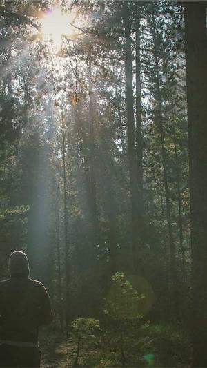 梦幻西游无双私服截图5