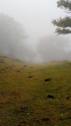 天下传奇私服截图1